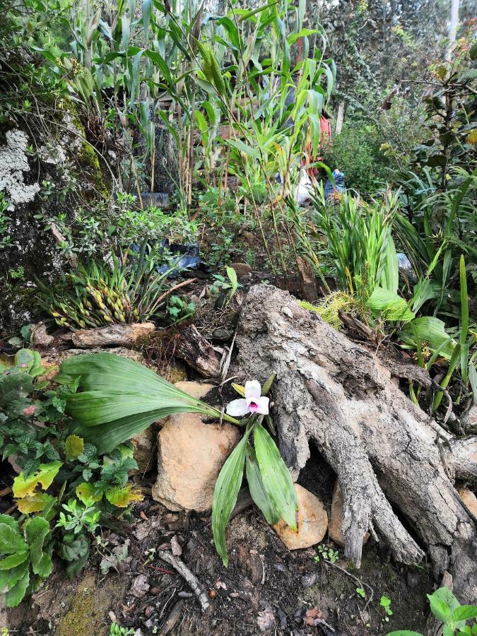 Renta De Cabanas, Centro Ecoturistico Rural Sustentable Labor San Jose San Cristobal de las Casas Bagian luar foto